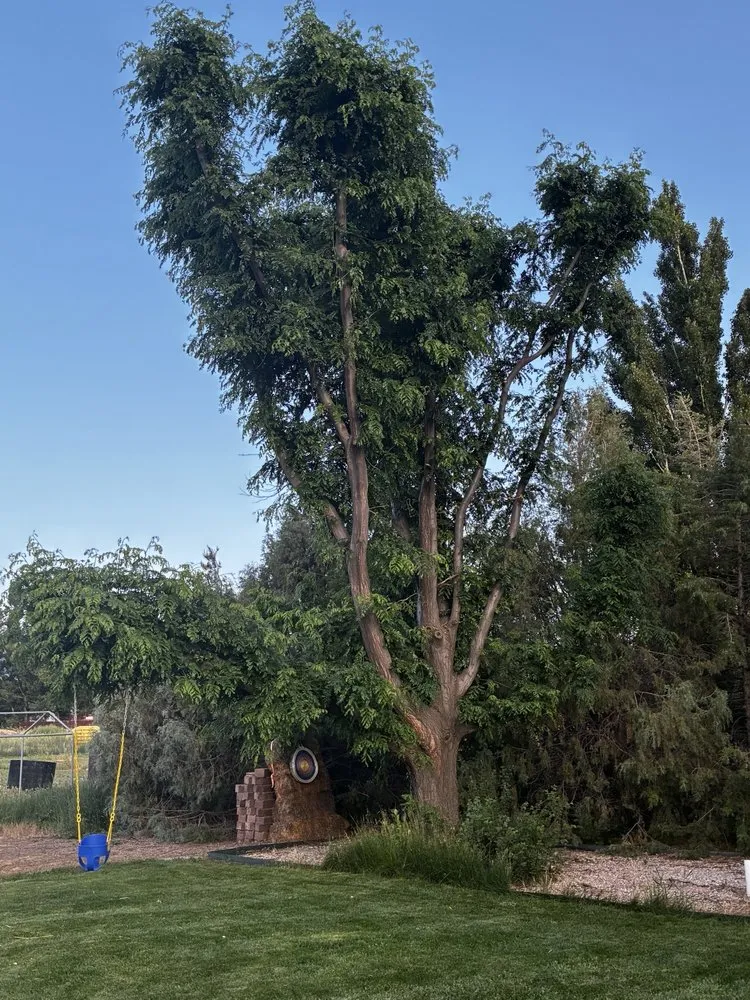 Local landscaping services in Cedar City, UT - Yardley Tree Service