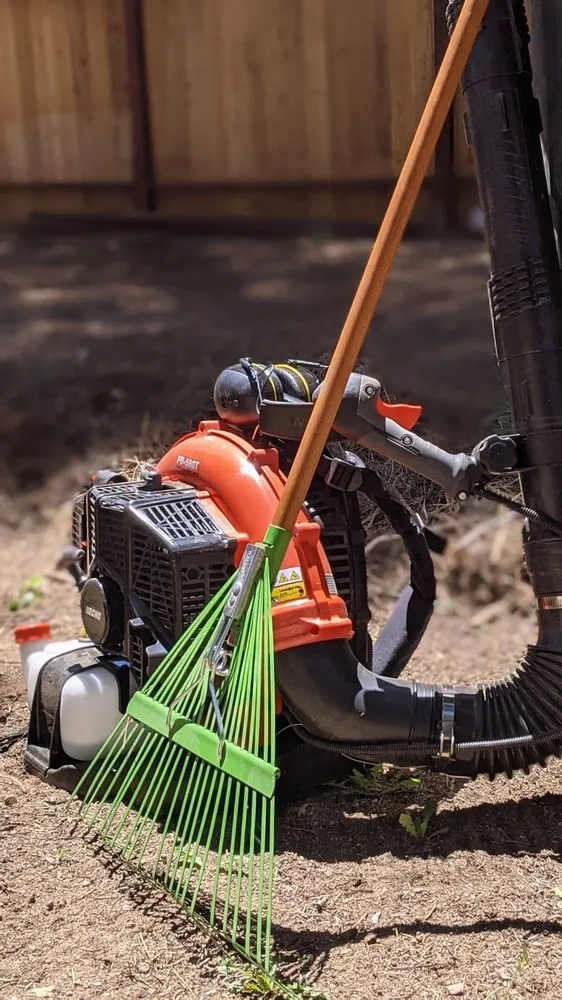 Professional landscape installation in South Lake Tahoe, CA - Yardly