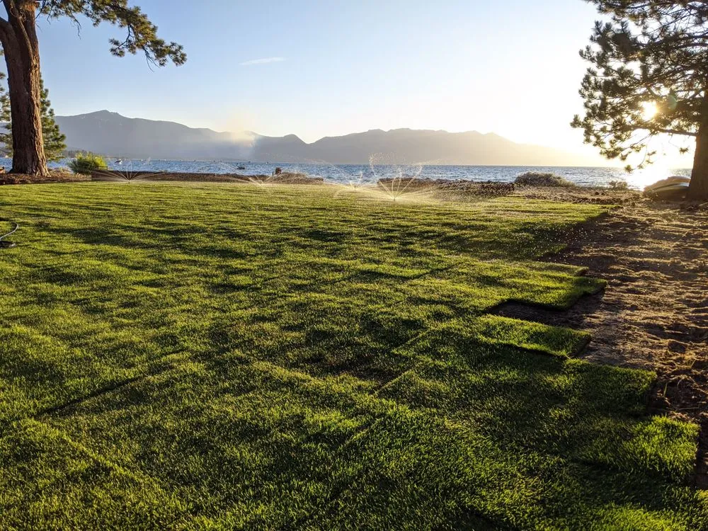 Top-rated lawn mowing service for year-round maintenance in South Lake Tahoe, CA by Yardly