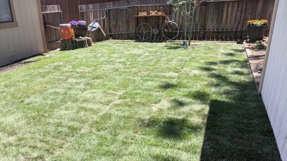 Reliable landscape design experts serving South Lake Tahoe, CA - Yardly