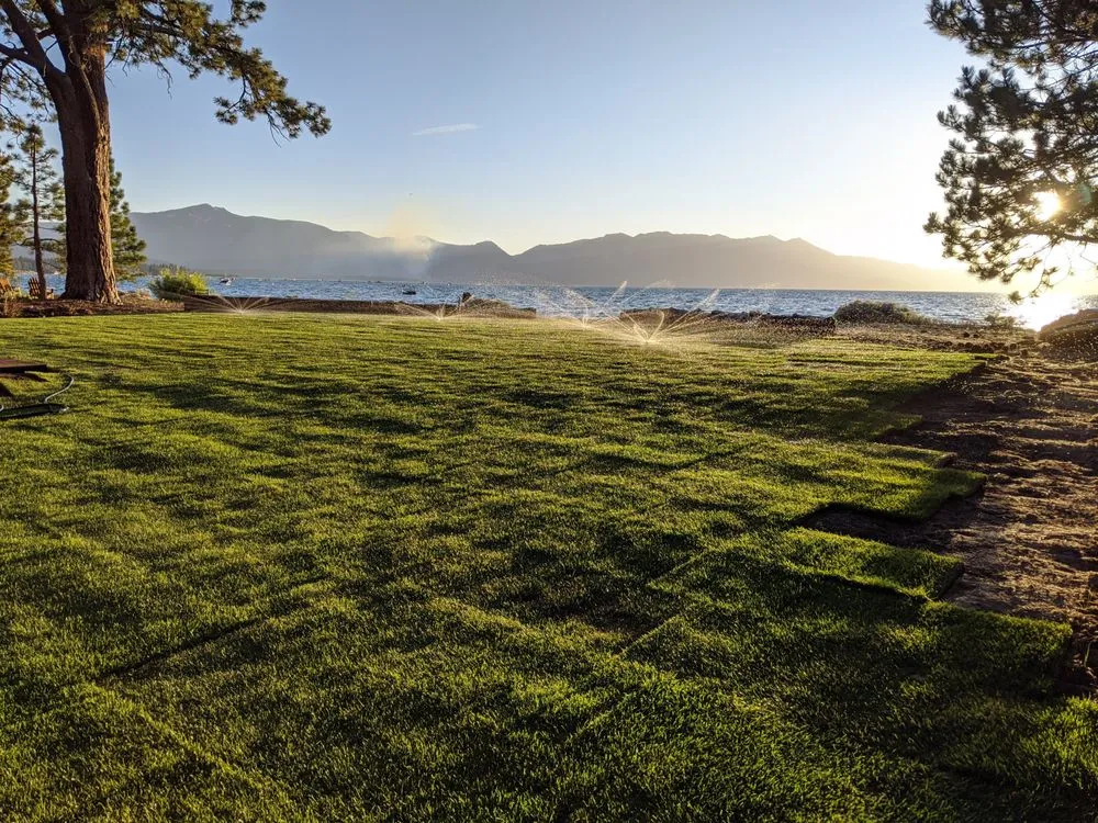 Top-rated landscaping services for year-round maintenance in South Lake Tahoe, CA by Yardly