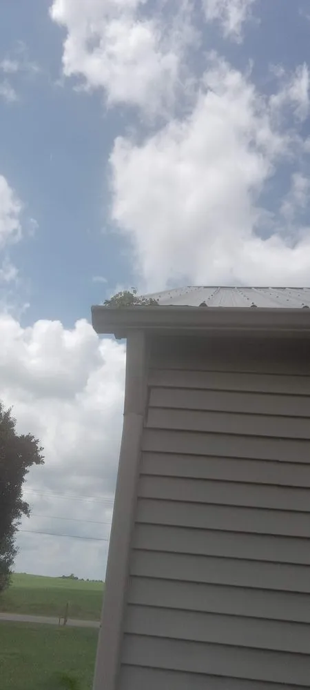 Top-rated yard cleanup service for beautiful yards in Petersburg, IN by Yardman