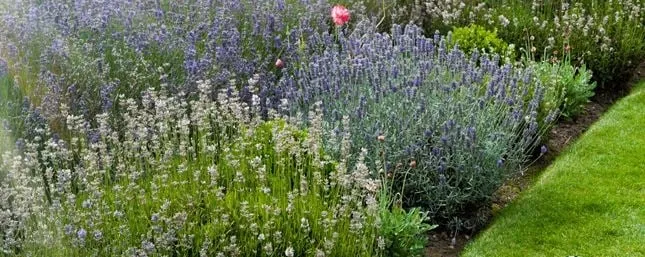 Top-rated lawn mowing service in Cumberland, MD by YARDMAN Services