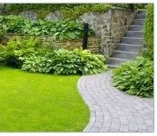 Professional yard maintenance in Cumberland, MD by YARDMAN Services