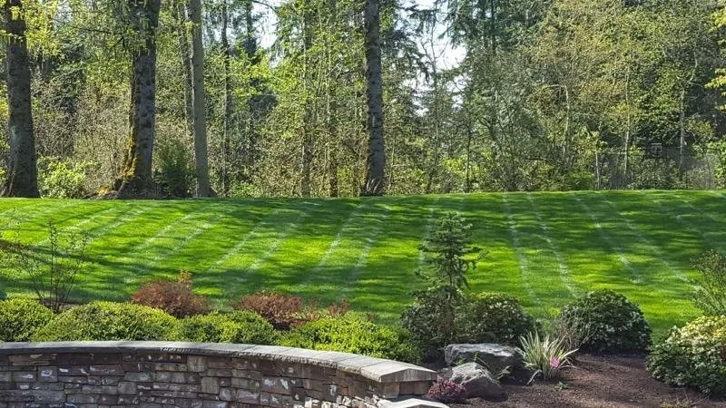 Top-rated landscape installation with custom design in Arlington, WA by Yardmaster