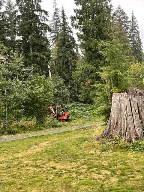 Local lawn care service in Arlington, WA - Yardmaster