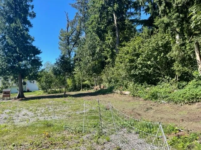 Reliable lawn care service in Arlington, WA by Yardmaster