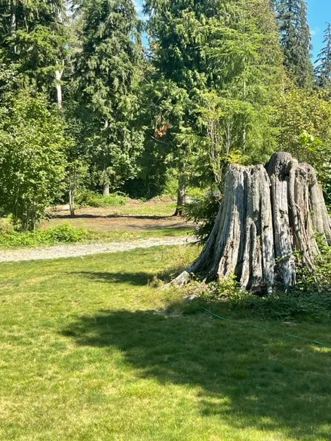 Custom yard maintenance experts serving Arlington, WA - Yardmaster