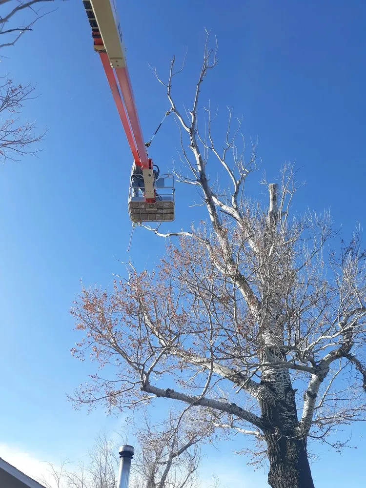 Affordable yard maintenance for beautiful yards in Brighton, CO by Yardmaster