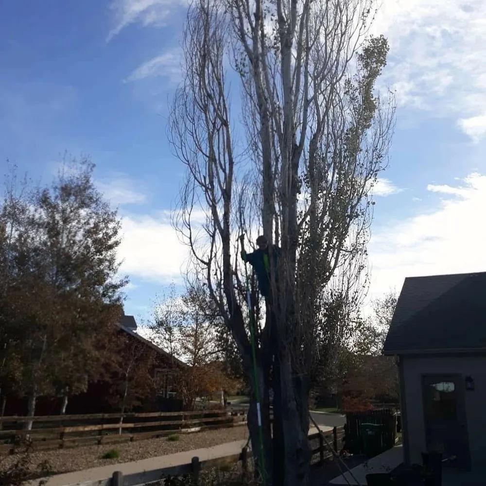 Local lawn mowing service near you in Brighton, CO by Yardmaster