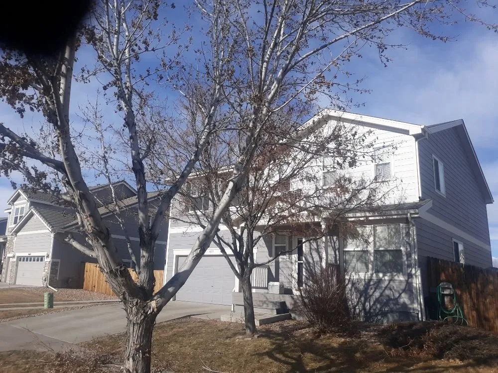 Trusted landscaping services for homes in Brighton, CO by Yardmaster