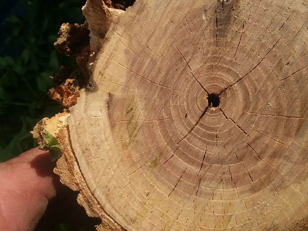 Trusted garden landscaping for residential properties in Brighton, CO by Yardmaster