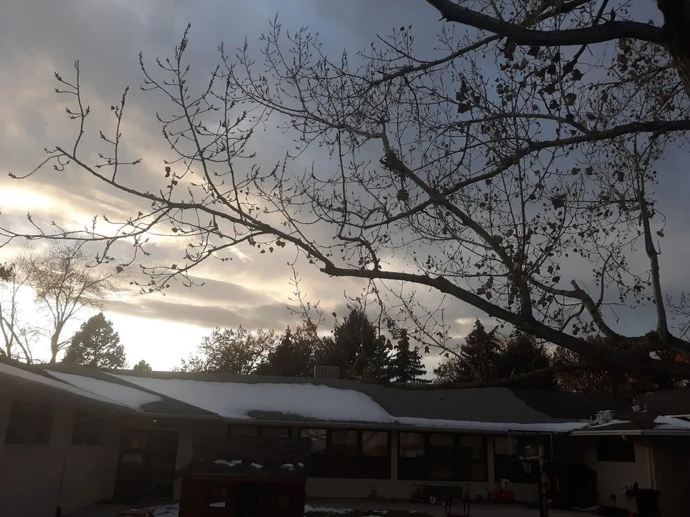 Custom lawn care service experts serving Brighton, CO - Yardmaster