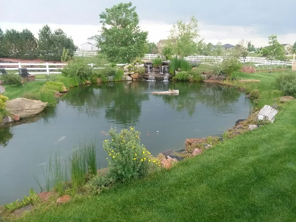 Expert landscape installation for outdoor upgrades in Brighton, CO by Yardmaster