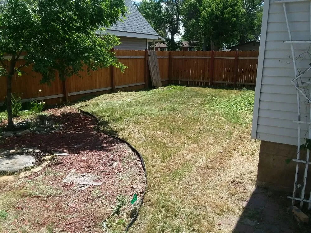 Affordable lawn care service experts serving Brighton, CO - Yardmaster
