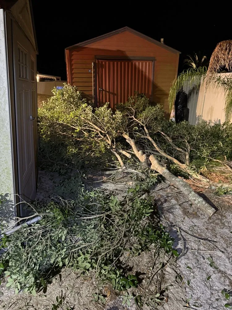 Custom yard cleanup service for beautiful yards across Deltona, FL - Yardmaster Junk & Hauling