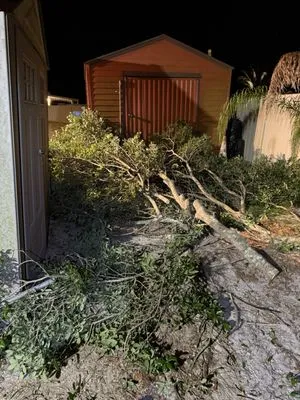 Yardmaster Junk & Hauling Logo