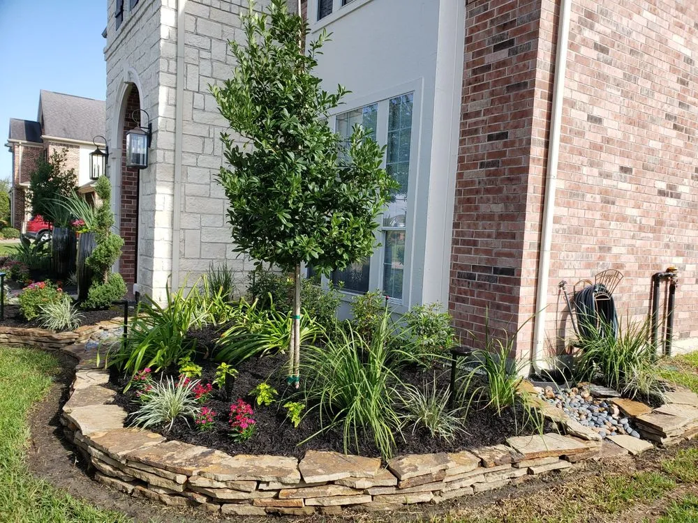 Expert lawn care service in Pearland, TX by Yardmaster Lawn & Landscape