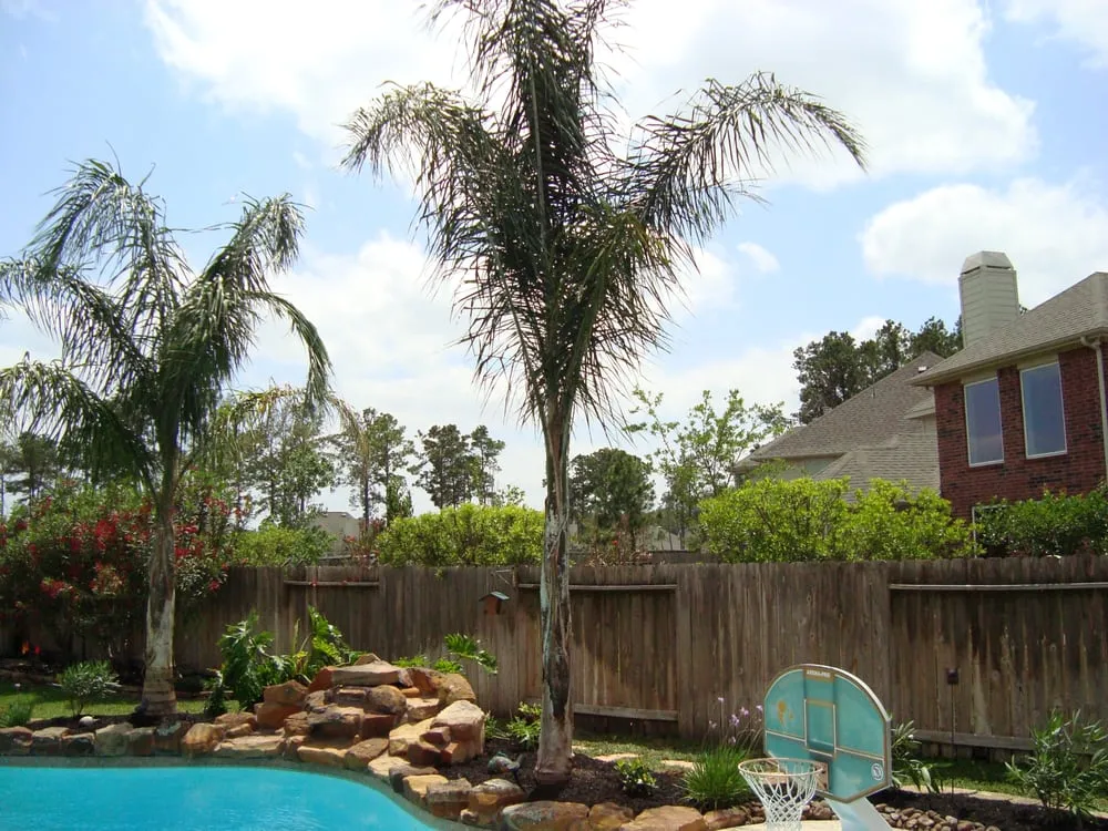 Reliable yard cleanup service for outdoor upgrades across Cypress, TX - Yardmasters