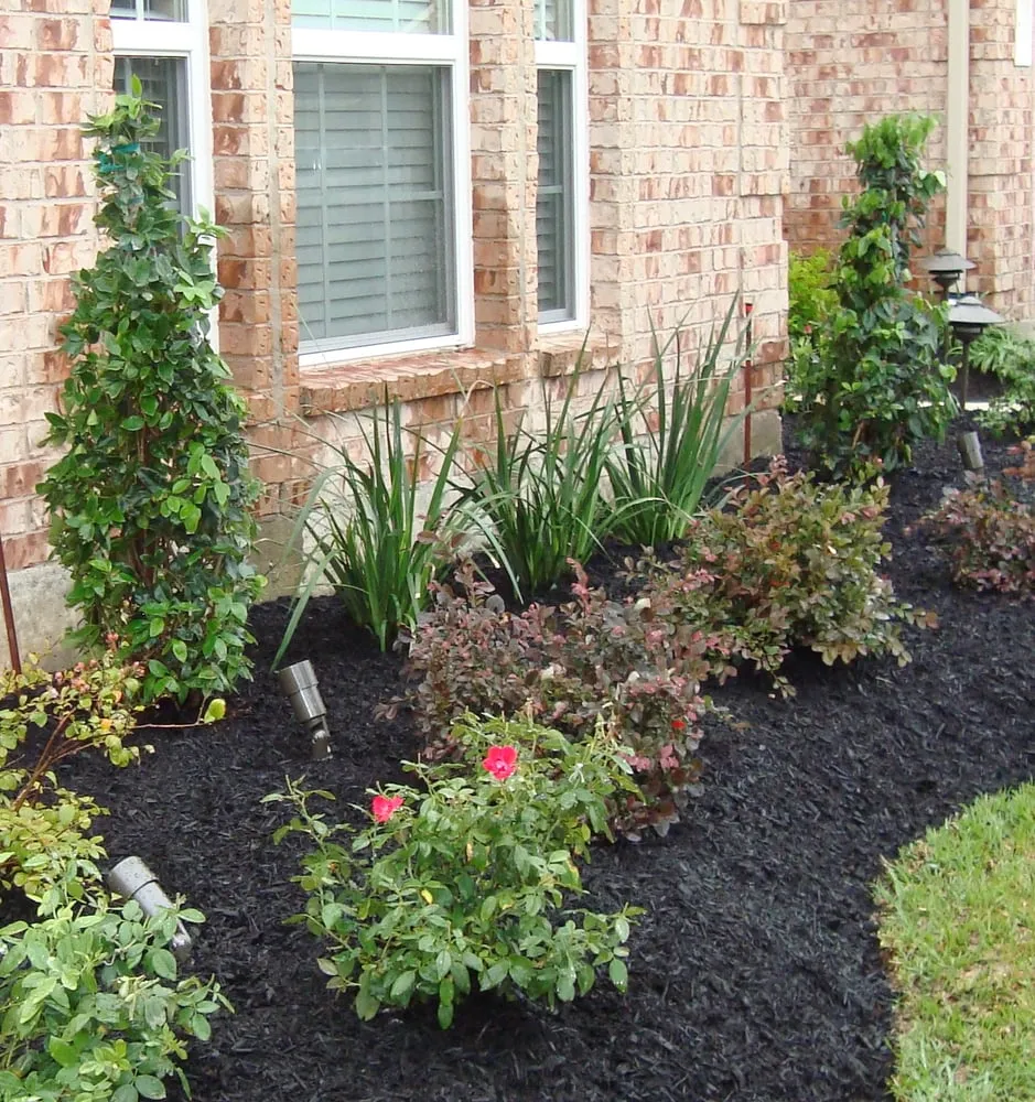 Top-rated landscaping services in Cypress, TX - Yardmasters