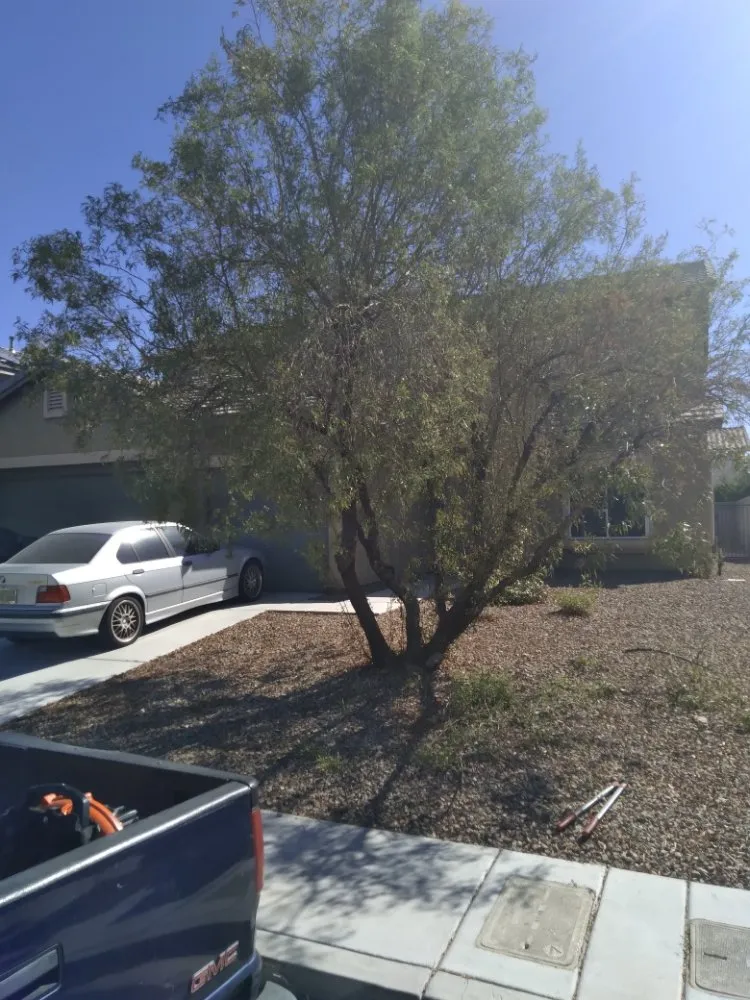 Reliable lawn mowing service experts serving Las Vegas, NV - YardMasters Landscaping