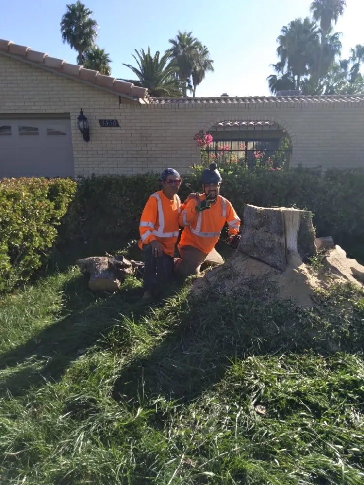 Affordable outdoor landscaping in Las Vegas, NV by YardMasters Landscaping