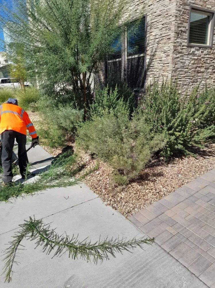 Trusted landscape installation for outdoor upgrades across Las Vegas, NV - YardMasters Landscaping