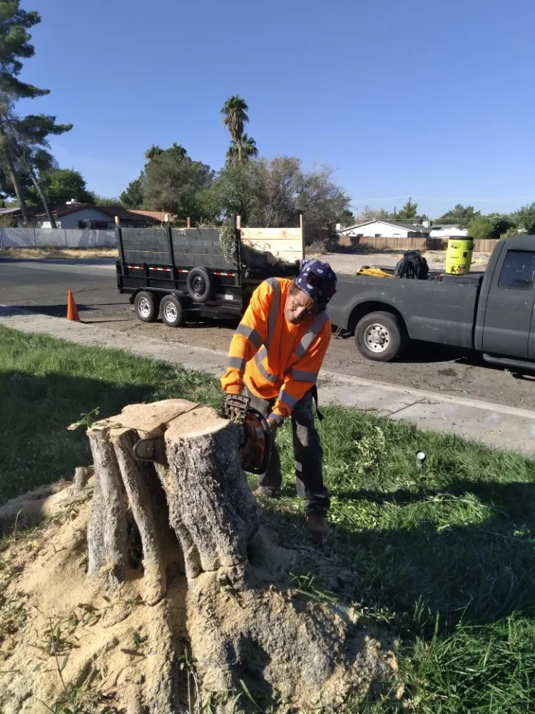 Custom residential landscaping in Las Vegas, NV by YardMasters Landscaping
