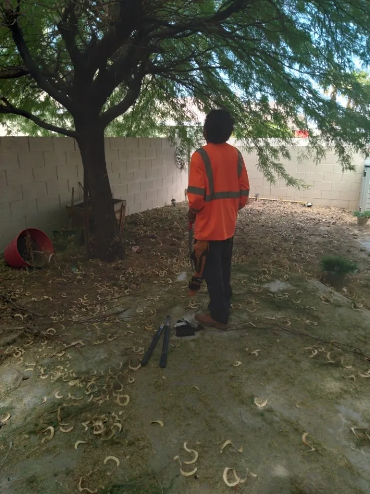 Professional outdoor landscaping for beautiful yards across Las Vegas, NV - YardMasters Landscaping