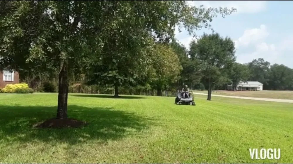 Custom yard cleanup service for beautiful yards in Elba, AL by YardMasters Lawn Care Services