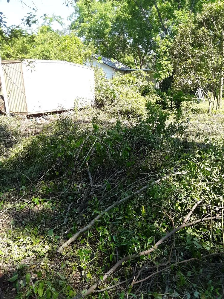 Custom residential landscaping experts serving Elba, AL - YardMasters Lawn Care Services