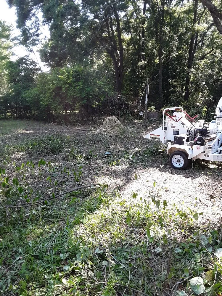 Expert landscape design in Elba, AL - YardMasters Lawn Care Services