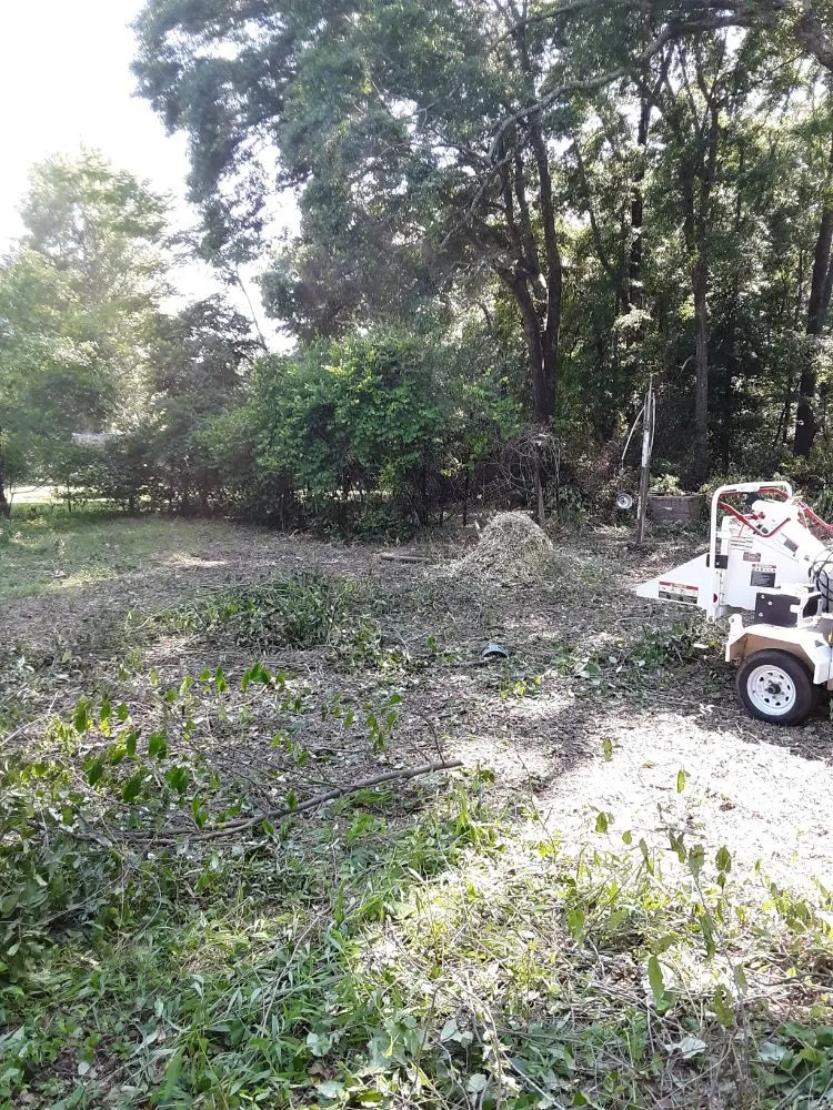 Trusted landscape design in Elba, AL - YardMasters Lawn Care Services