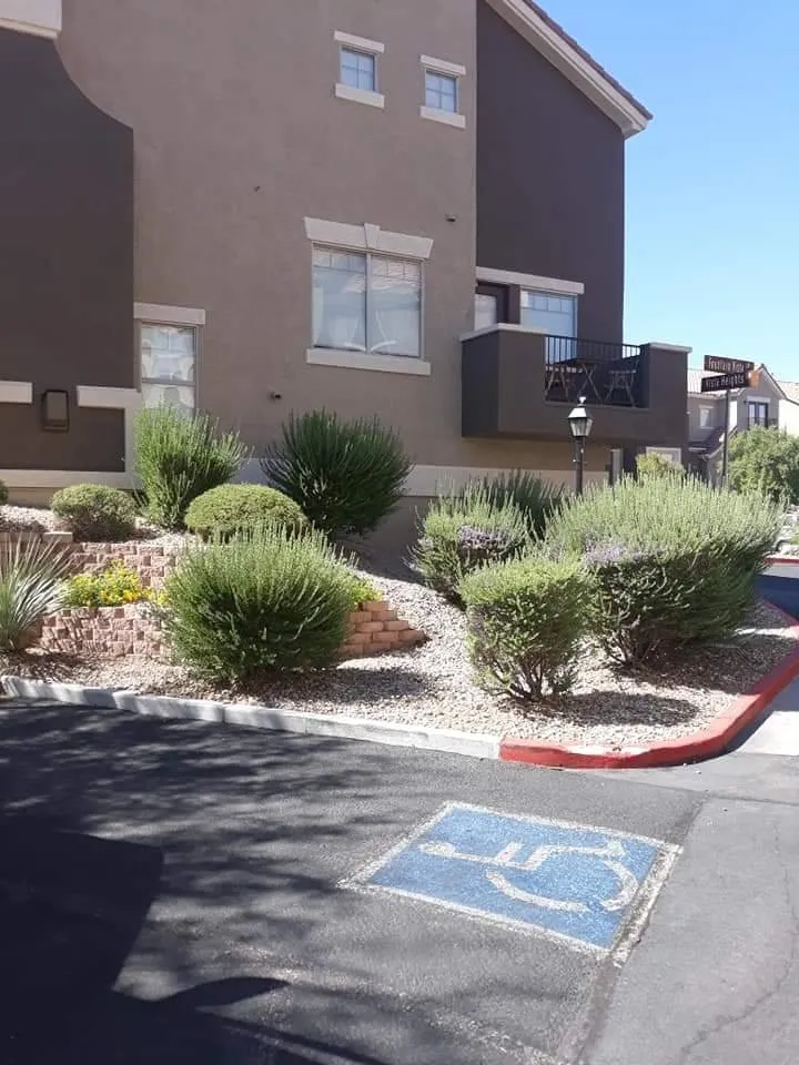 Trusted residential landscaping for year-round maintenance in South Gate, CA by Yardmasters