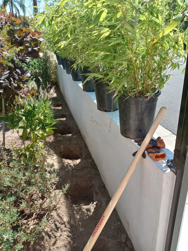 Local lawn care service experts serving South Gate, CA - Yardmasters