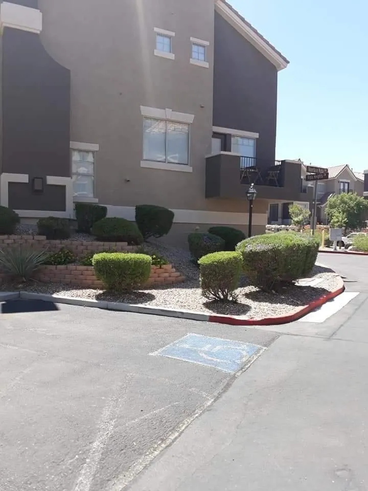 Custom landscape design for year-round maintenance in South Gate, CA by Yardmasters