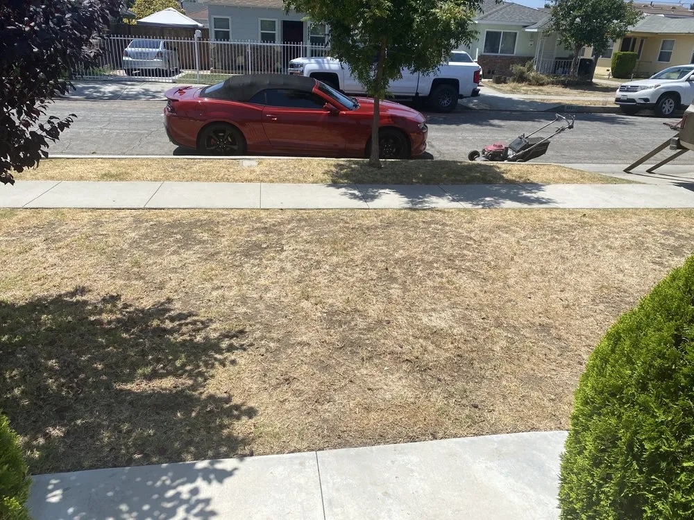 Trusted garden landscaping with custom design across South Gate, CA - Yardmasters