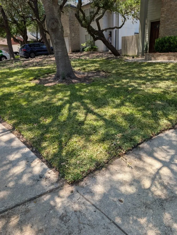 Trusted yard maintenance in Poteet, TX by Yardmen Lawn Services