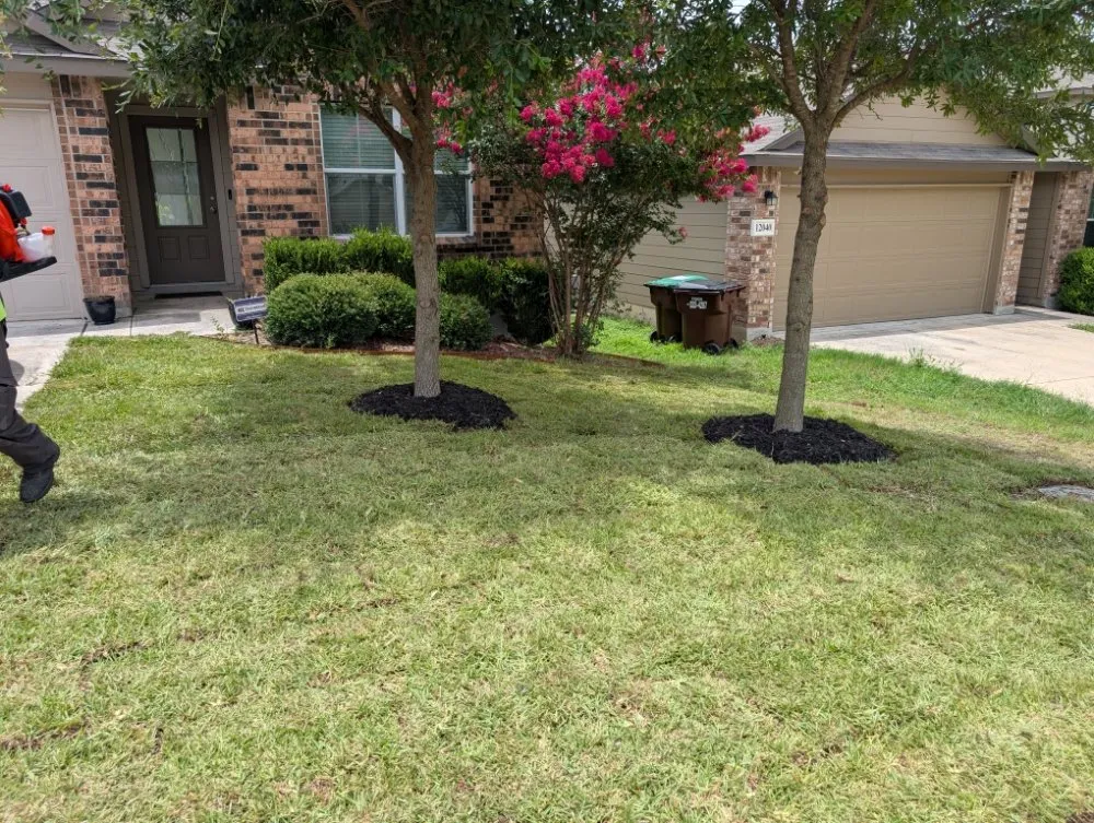 Reliable lawn care service in Poteet, TX - Yardmen Lawn Services