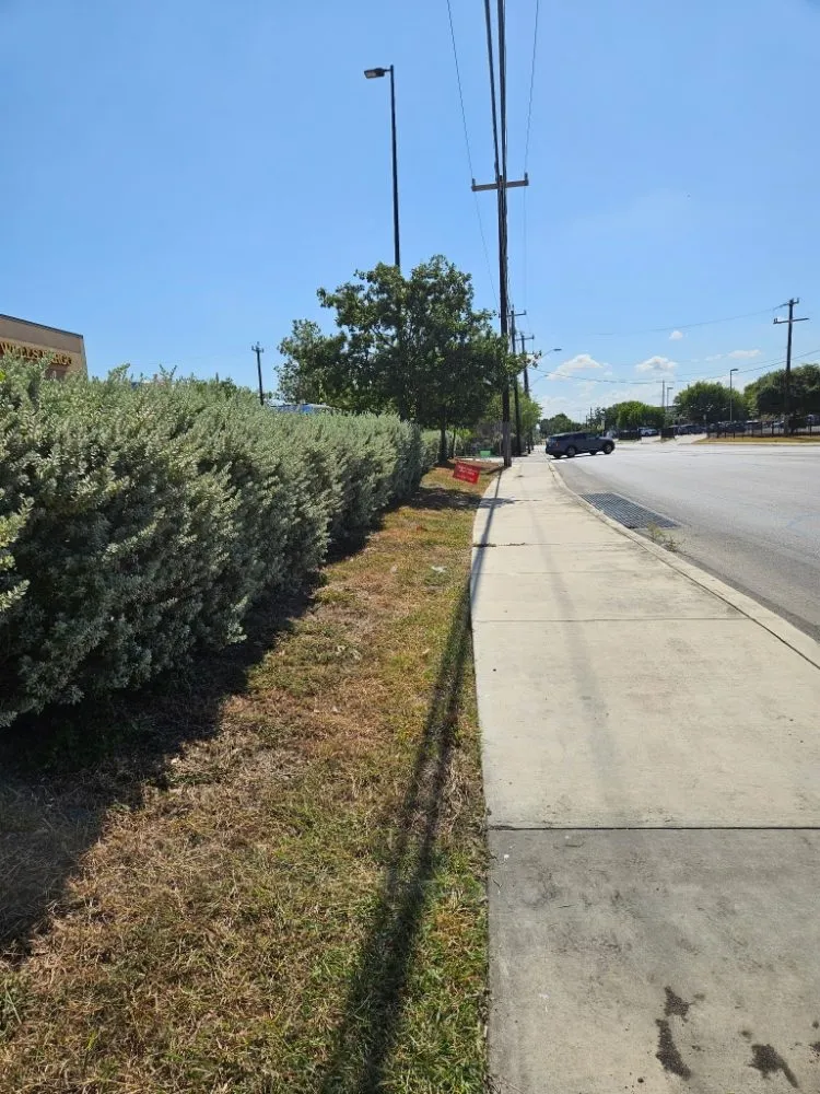 Trusted residential landscaping in Poteet, TX - Yardmen Lawn Services