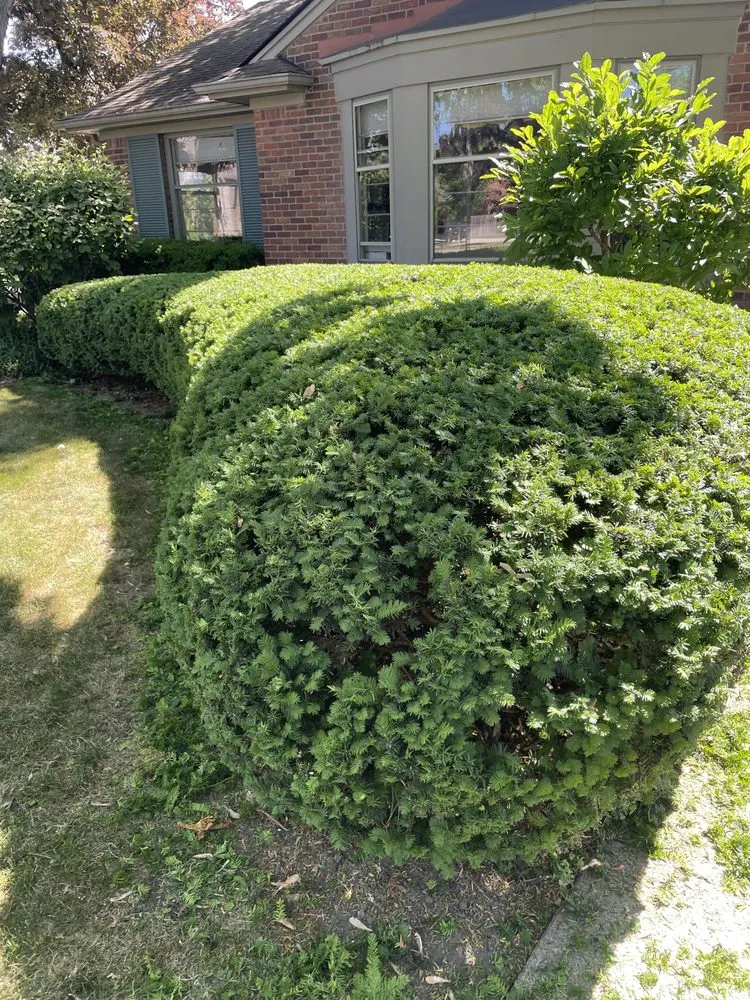 Trusted landscaping services for homes across Madison Heights, MI - Yardners Lawn Maintenance