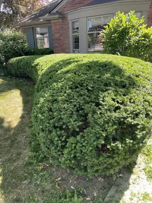 Yardners Lawn Maintenance