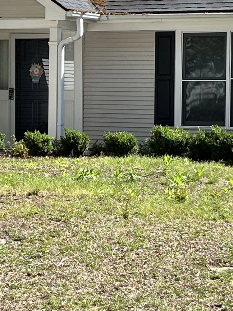 Local lawn care service in Morrisville, NC by Yardnique