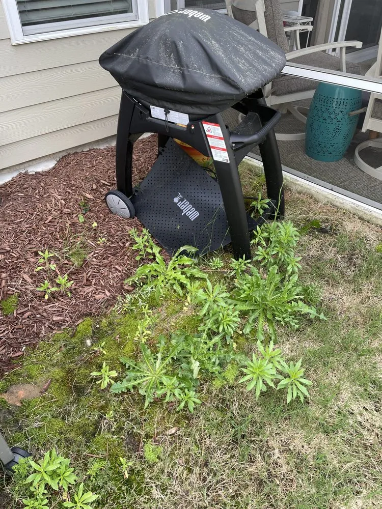 Expert yard cleanup service experts serving Morrisville, NC - Yardnique