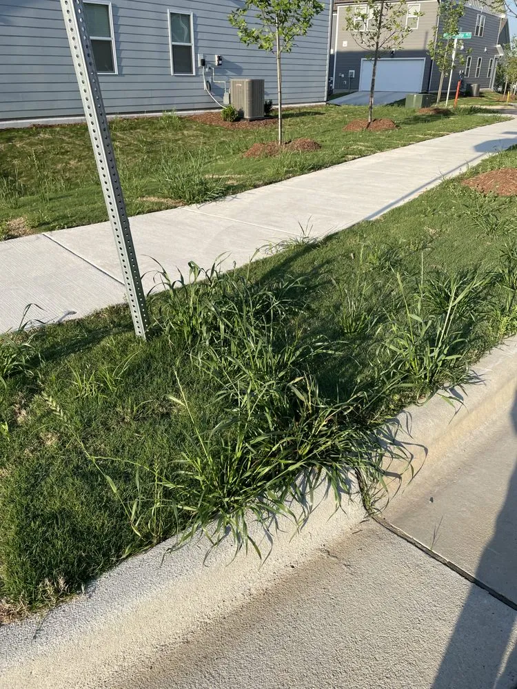 Affordable garden landscaping near you in Morrisville, NC by Yardnique