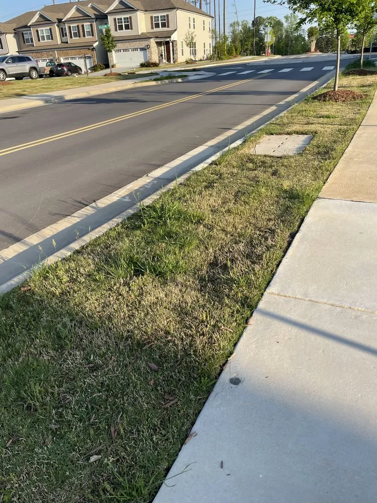 Trusted outdoor landscaping in Morrisville, NC by Yardnique