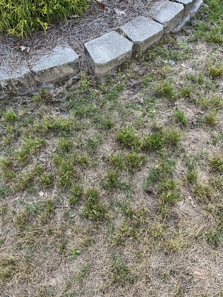 Custom landscape installation for homes in Morrisville, NC by Yardnique