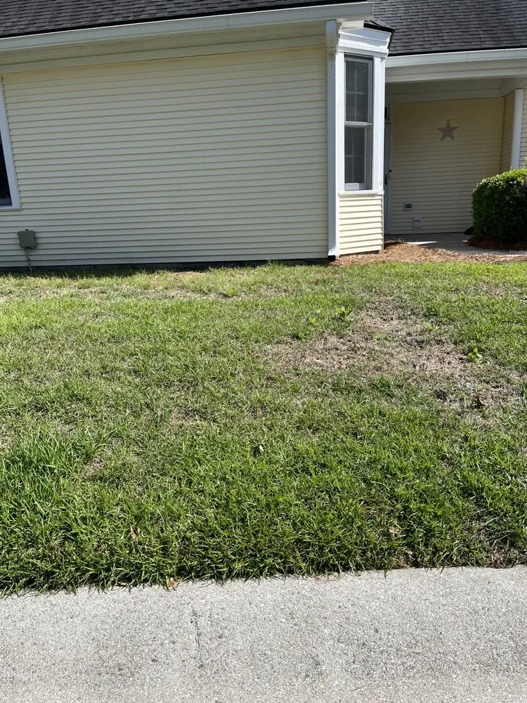 Top-rated residential landscaping for outdoor upgrades in Morrisville, NC by Yardnique