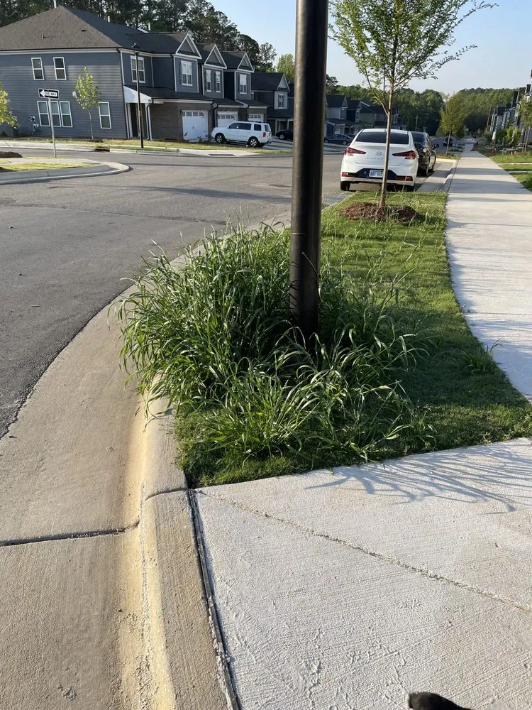 Custom landscape design experts serving Morrisville, NC - Yardnique