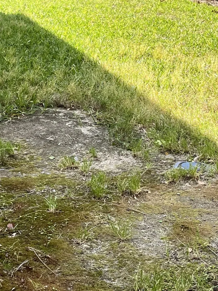 Top-rated garden landscaping for beautiful yards in Morrisville, NC by Yardnique